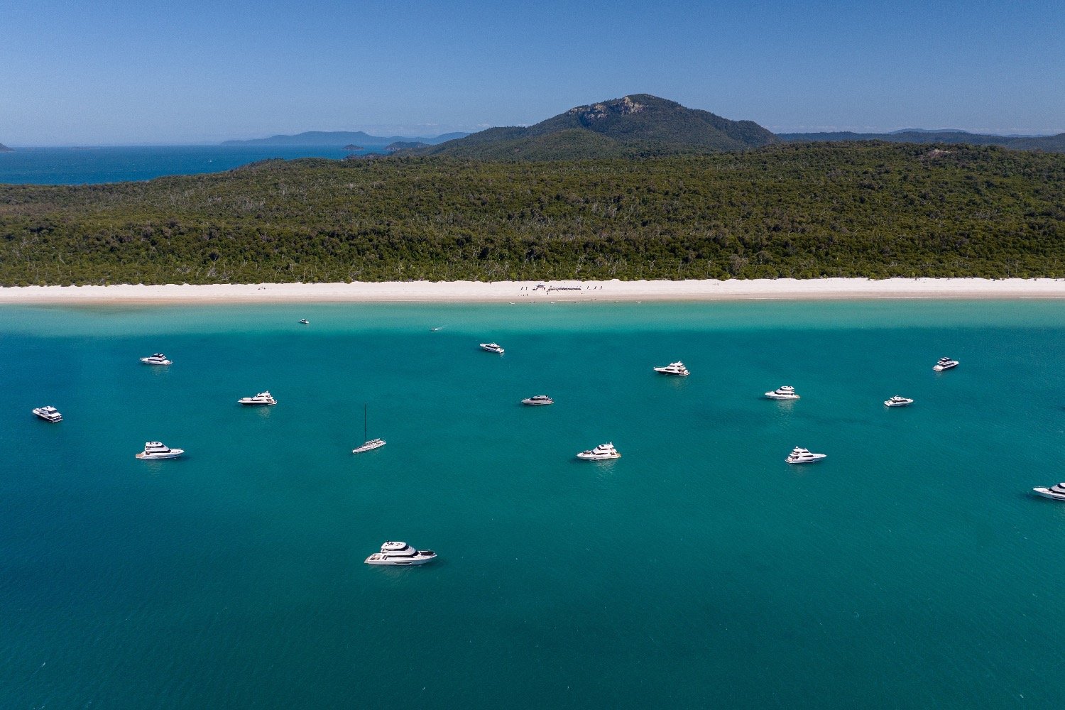 Migration Hamilton Island Whitehaven